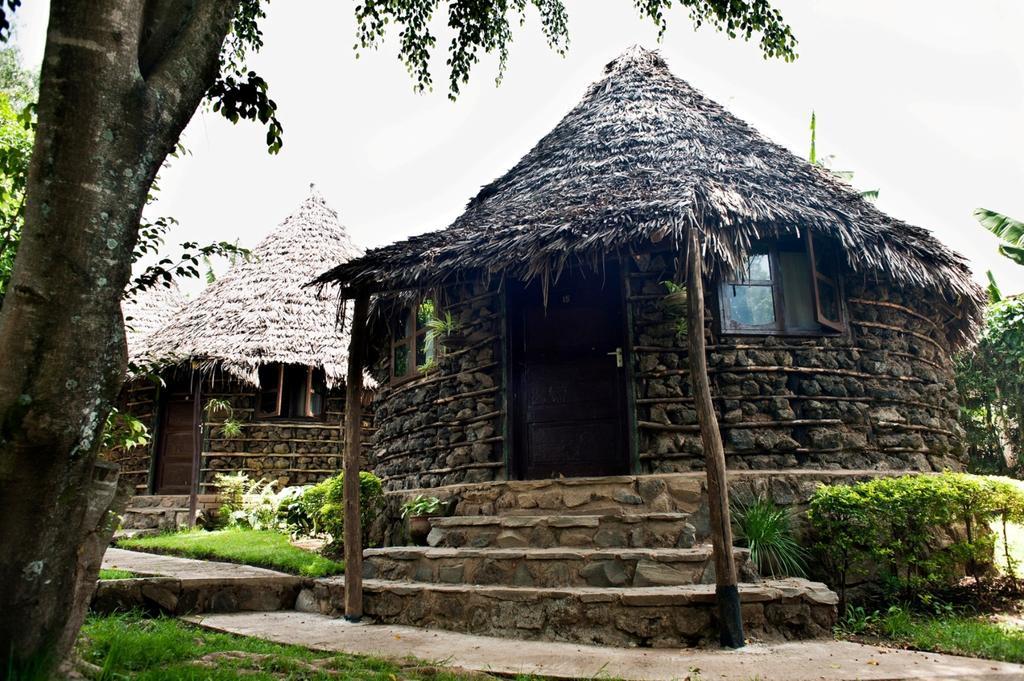 L'Oasis Lodge Arusha Quarto foto